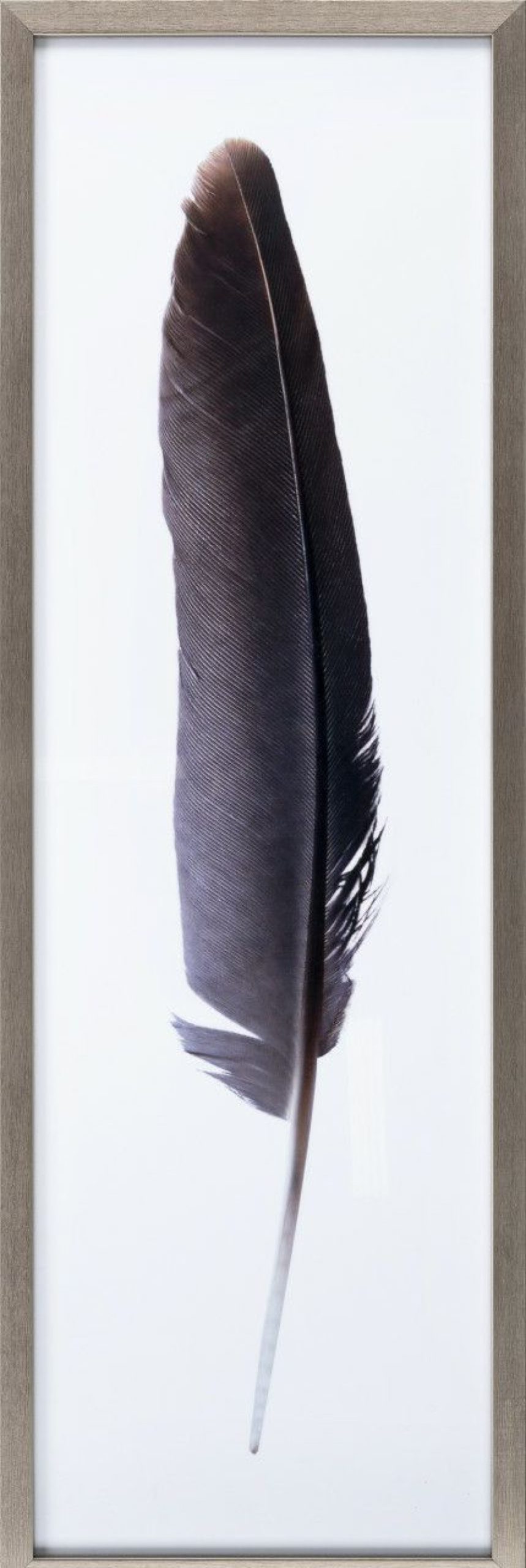 All Decor * | Islay Dark Feather Wall Art Official