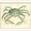 Mirrors & Art * | Spicher Ss Crab No. 5 Art Outlet Sale