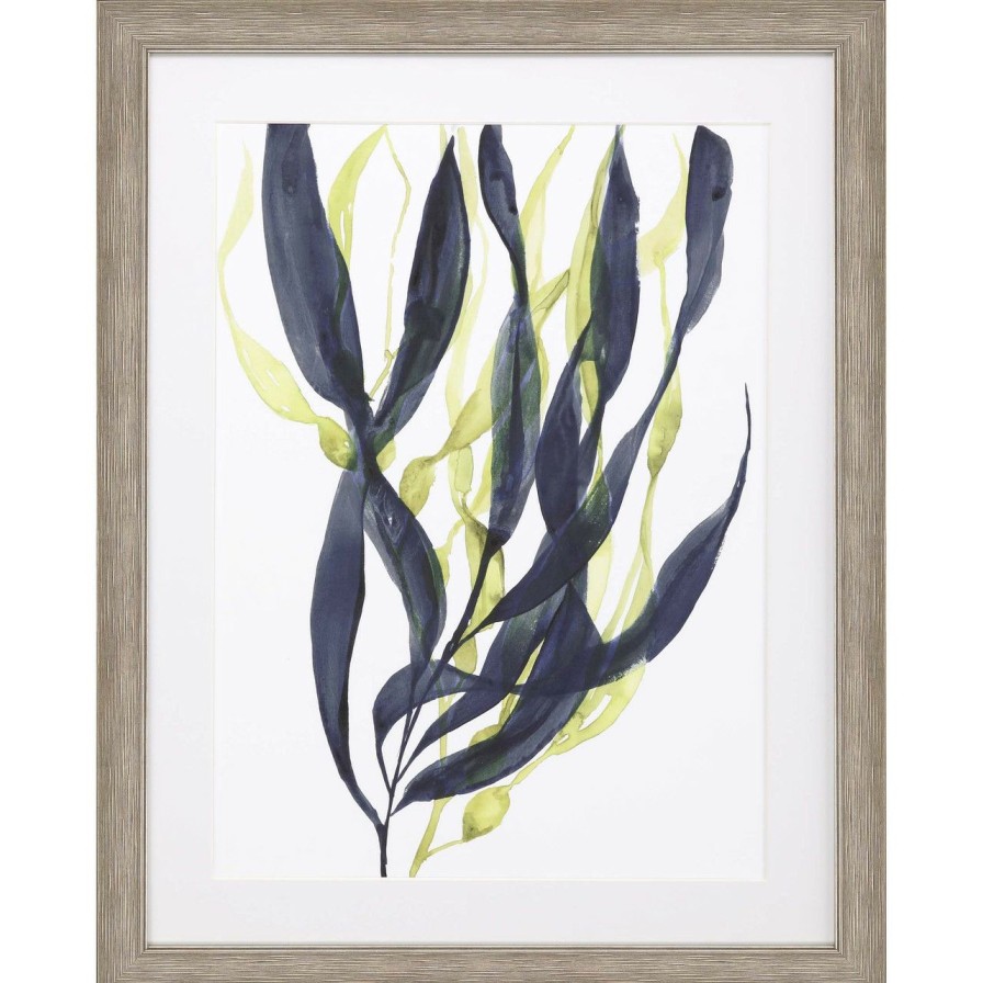 Mirrors & Art * | Kelp Embrace I Framed Art Good Quality