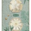 All Decor * | Aqua Sand Dollars Tapestry Wall Art Official