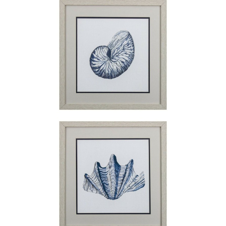 Mirrors & Art * | Nautical Shells B Framed Art- Set Of Two Outlet