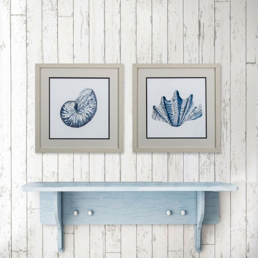 Mirrors & Art * | Nautical Shells B Framed Art- Set Of Two Outlet