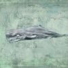 Mirrors & Art * | Sperm Whale By Anthony Morrow Official