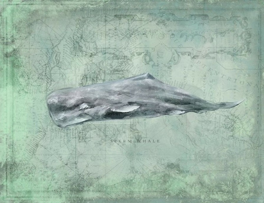 Mirrors & Art * | Sperm Whale By Anthony Morrow Official