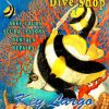 All Decor * | Scuba Steve'S Dive Shop Custom Art Limit Offer