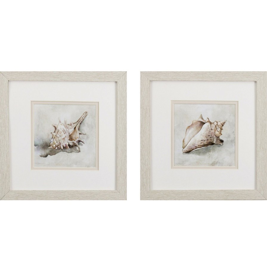 Mirrors & Art * | Seashell Texture White Framed Art Prints Good Quality